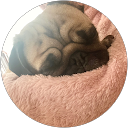 seri profile picture